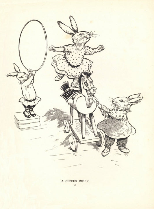 Dimensions 4648 x 6280 pixels