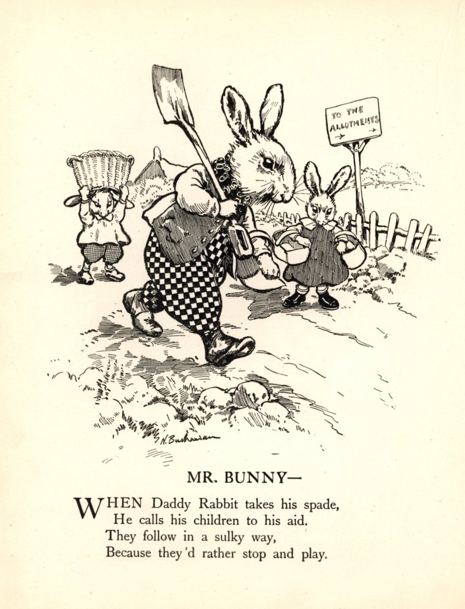 Dimensions 4668 x 6120 pixels