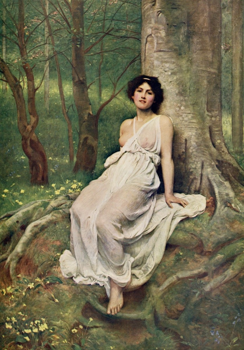 Dimensions 4090 x 5860 pixels