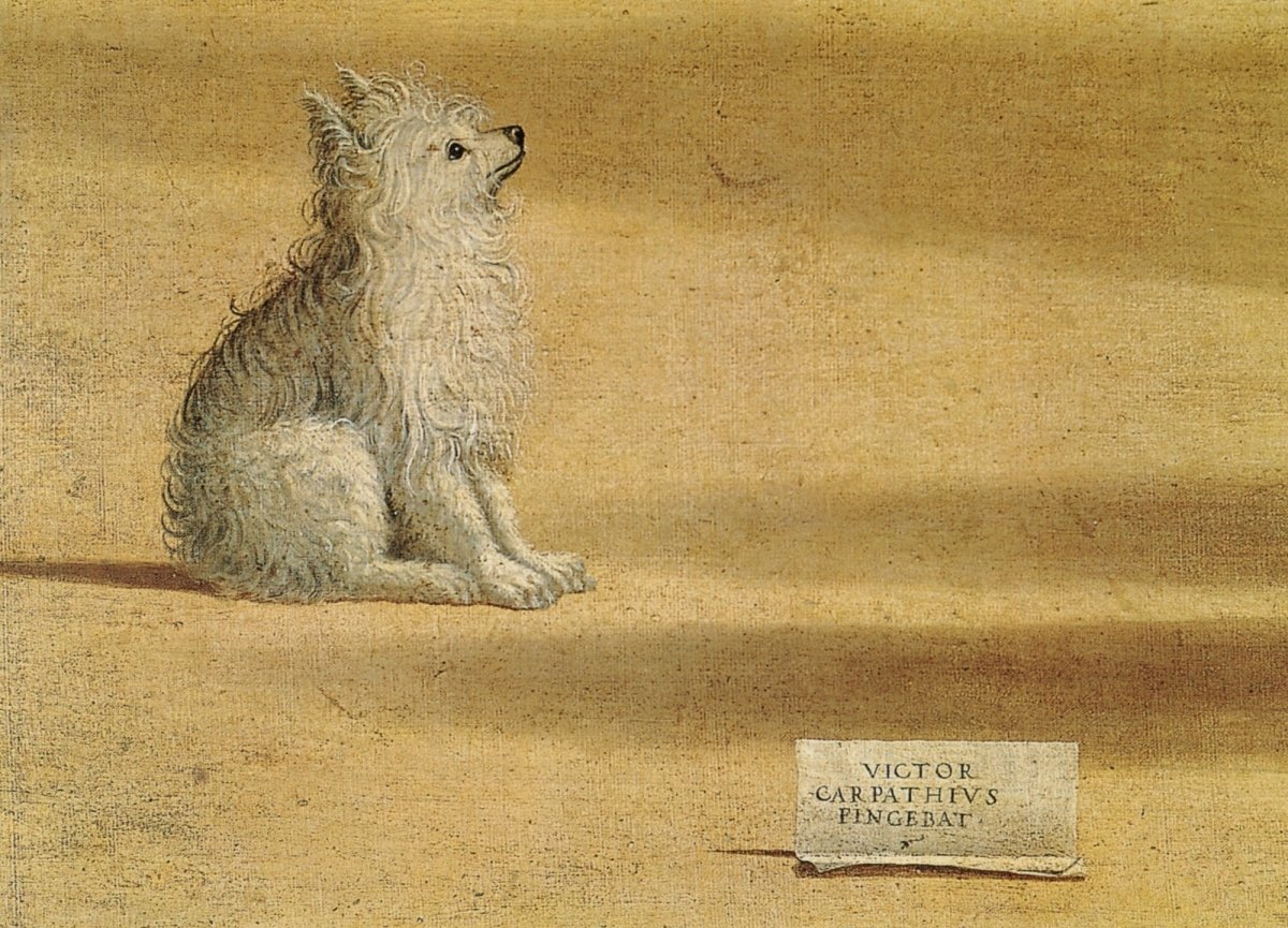 Dimensions 5544 x 3996 pixels