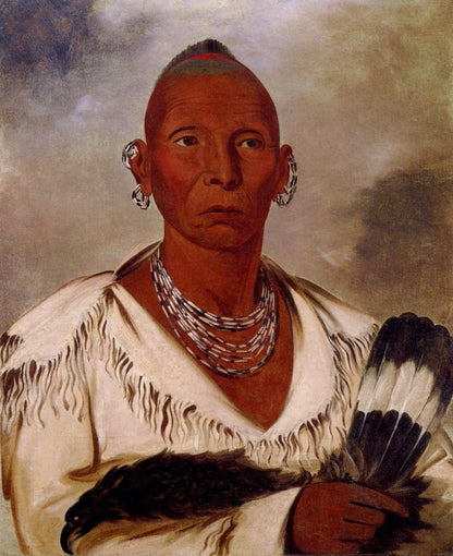 George Catlin 62 Public Domain Images to Download | Dimensions 3451 x 4235 pixels