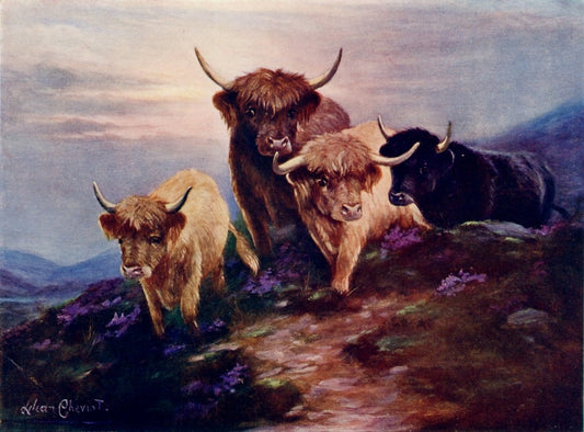 Dimensions 4830 x 3570 pixels