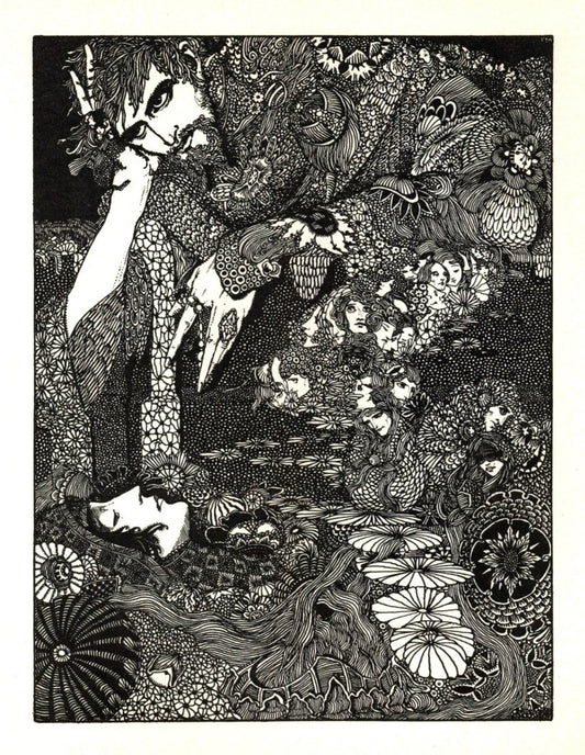 Dimensions 4740 x 6120 pixels