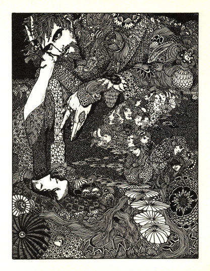 Dimensions 4740 x 6120 pixels