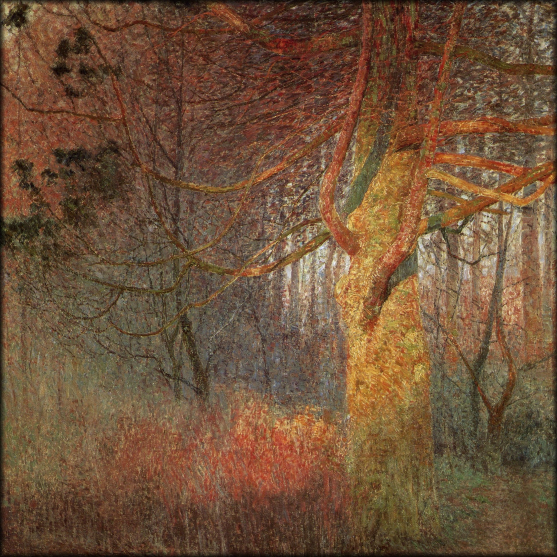 Digital Download - 1 image