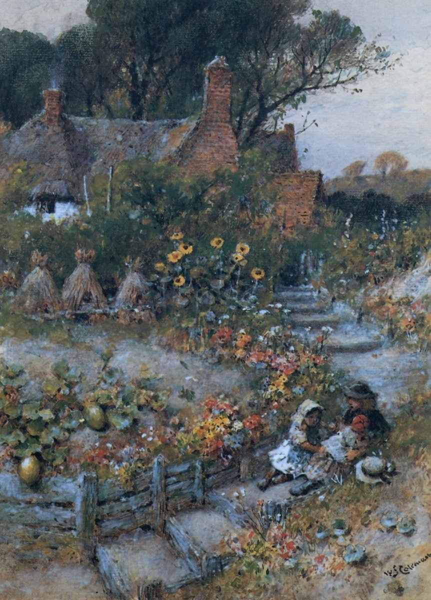 Dimensions 3856 x 5368 pixels