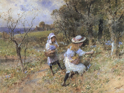 Dimensions 4488 x 3360 pixels