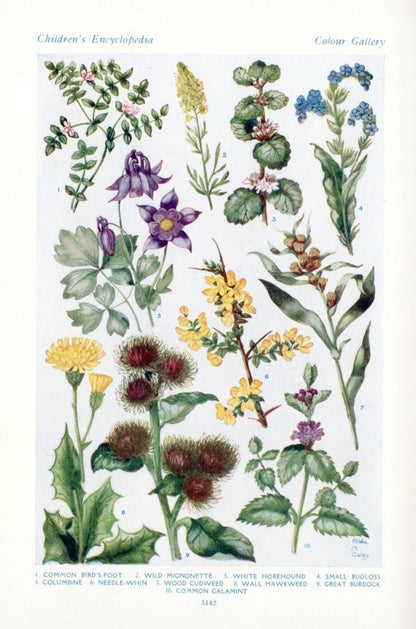 Hilda M. Coley Public Domain Images to Download | Dimensions 3672 x 5552 pixels