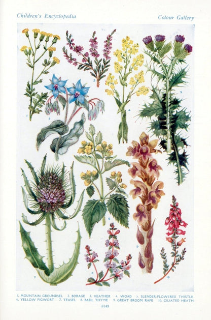 Hilda M. Coley Public Domain Images to Download | Dimensions 3624 x 5480 pixels