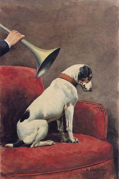 Dimensions 3332 x 5019 pixels