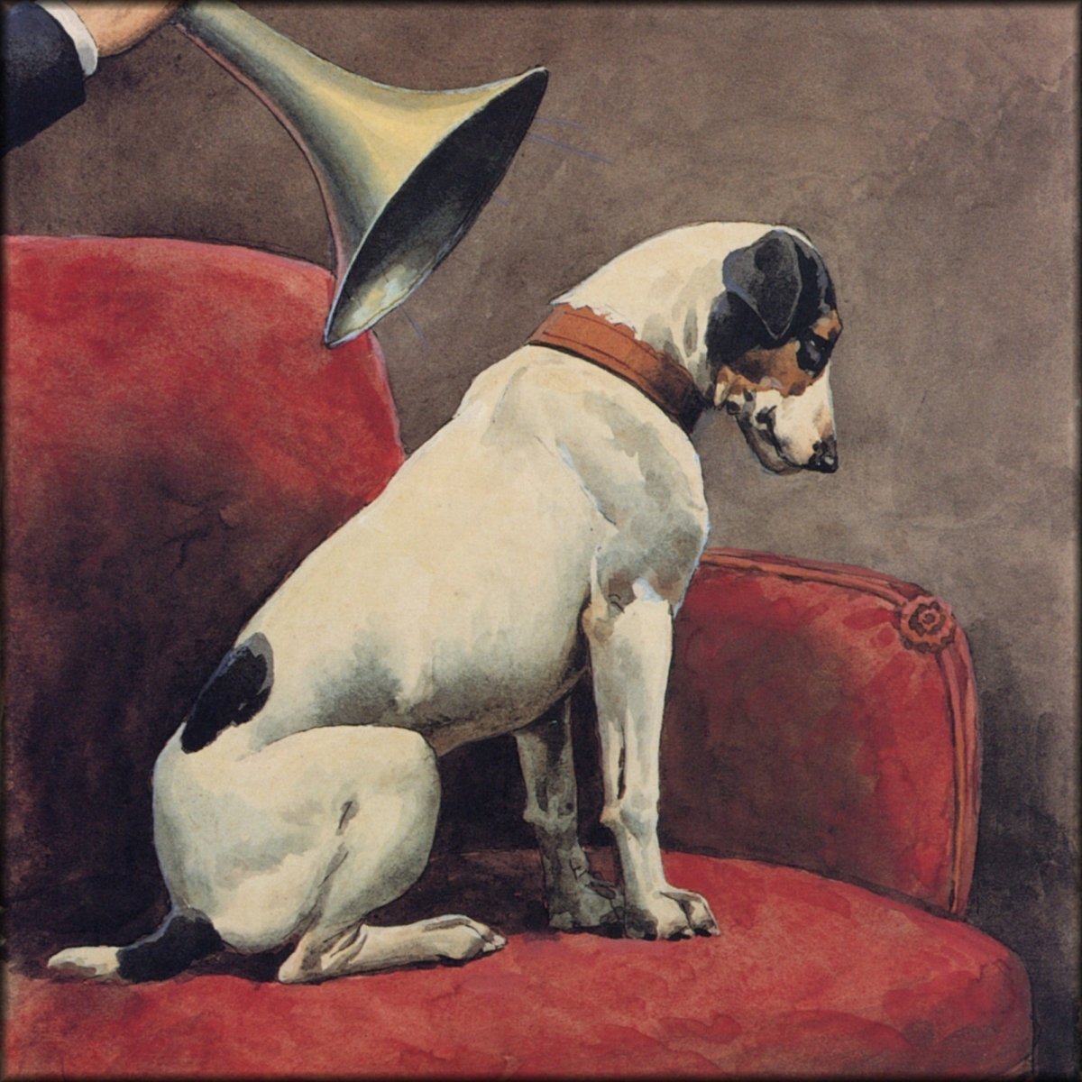 Digital Download - 1 image