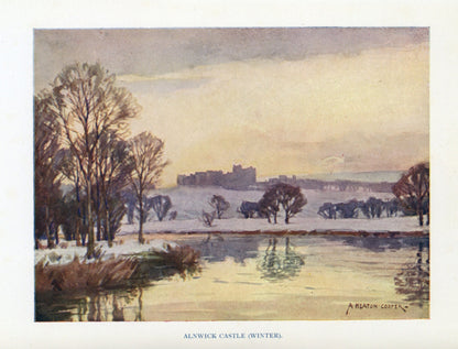 Dimensions 3930 x 2994 pixels