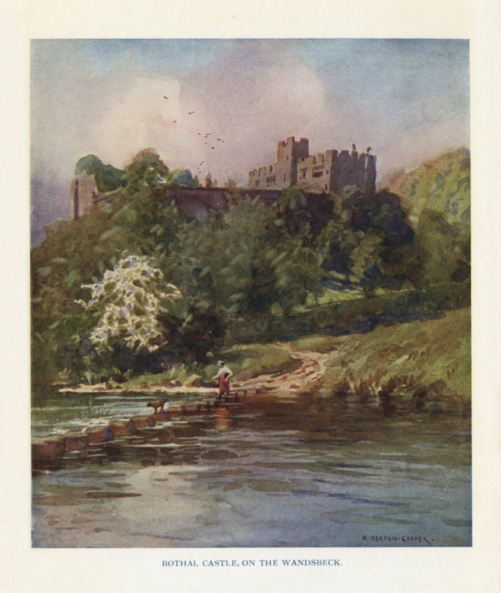 Dimensions 3336 x 3952 pixels