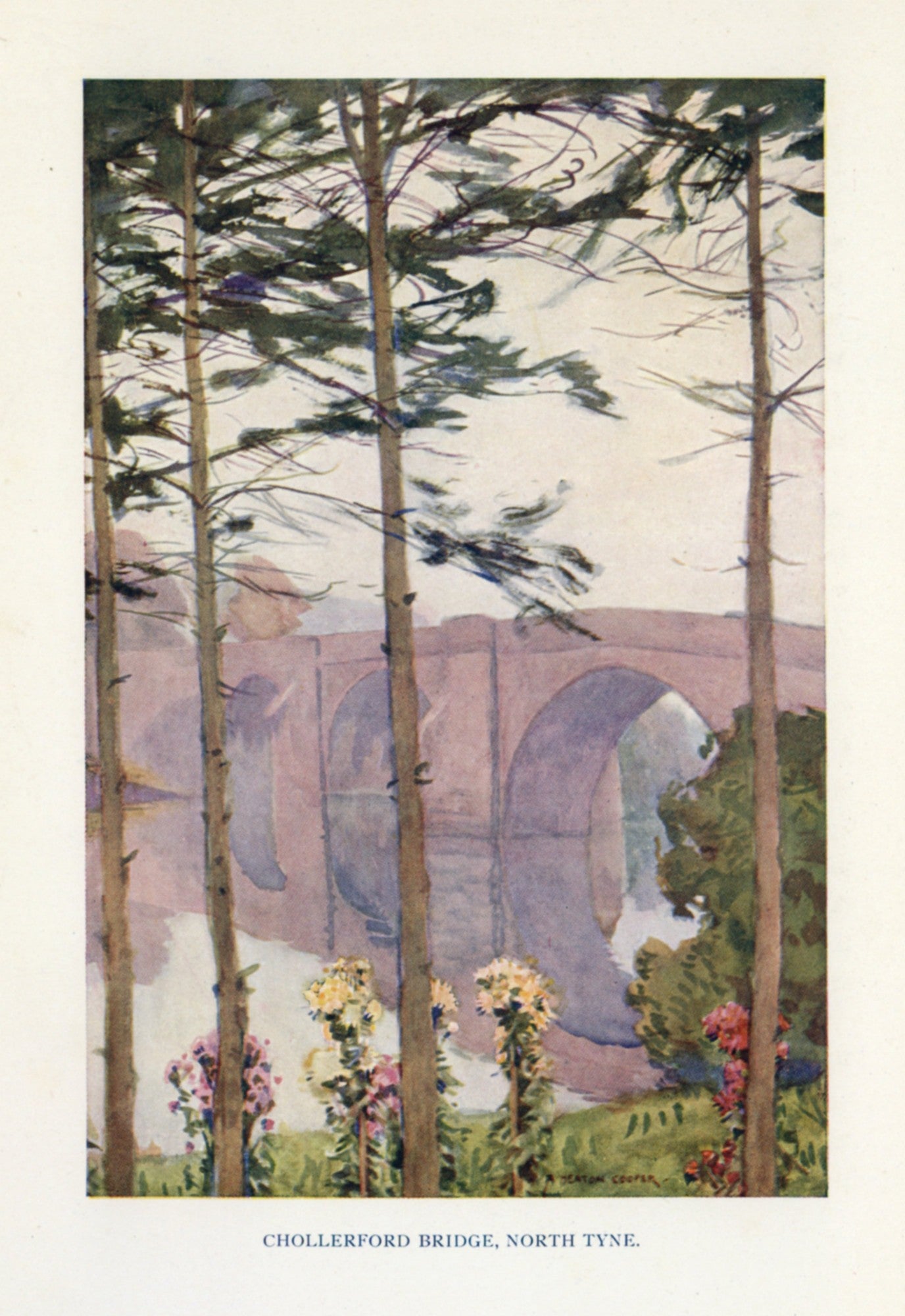 Dimensions 2754 x 4002 pixels