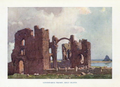 Dimensions 3990 x 2905 pixels