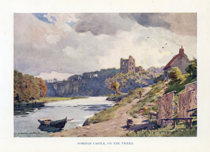 Dimensions 3882 x 2826 pixels