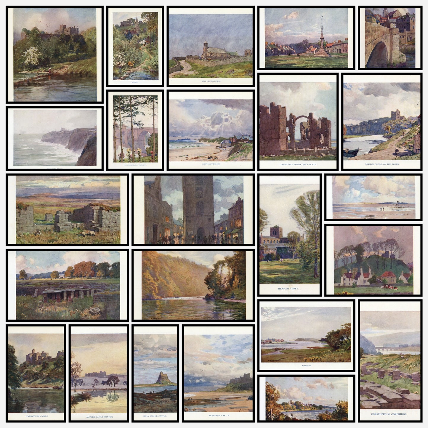 A snapshot of the images