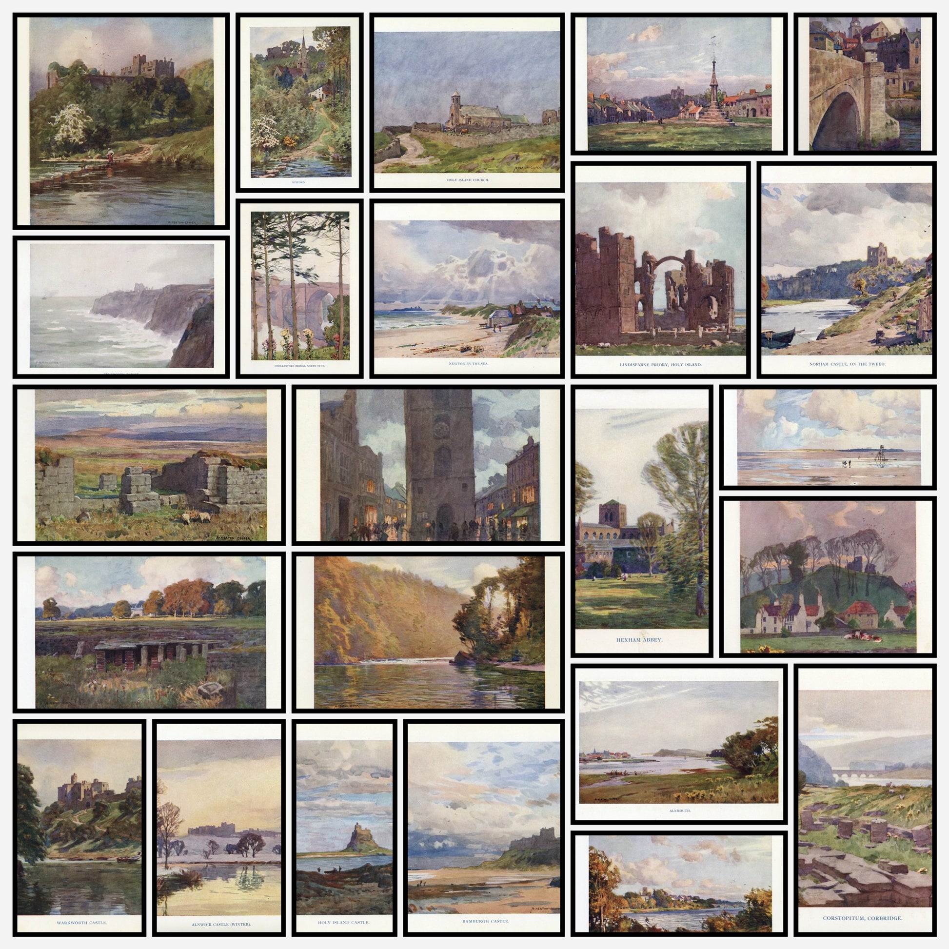 A snapshot of the images