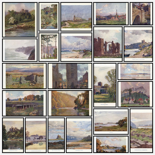 A snapshot of the images