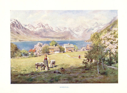 Dimensions 3950 x 2920 pixels