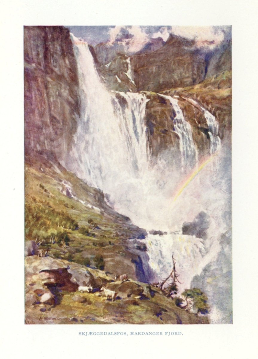 Dimensions 3884 x 4011 pixels