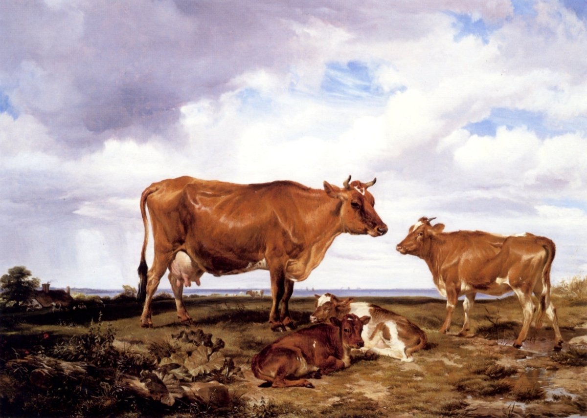 Dimensions 4602 x 3282 pixels