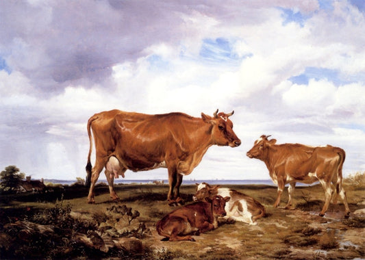 Dimensions 4602 x 3282 pixels