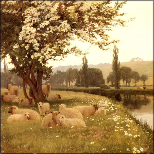 Digital Download - 1 image