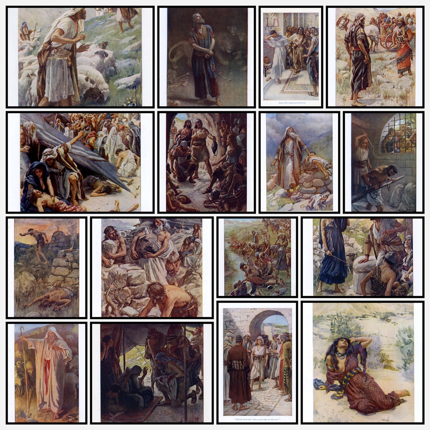 A snapshot of the images