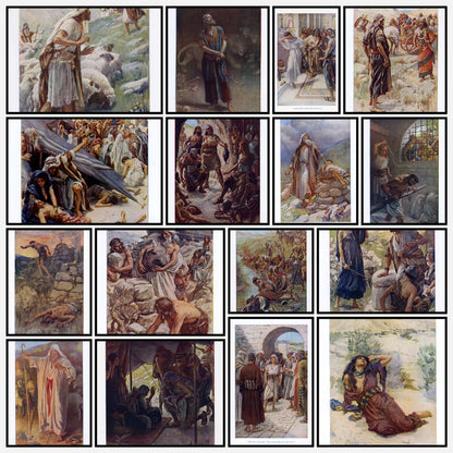 A snapshot of the images