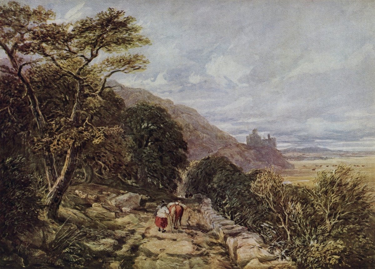 Dimensions 6088 x 4368 pixels