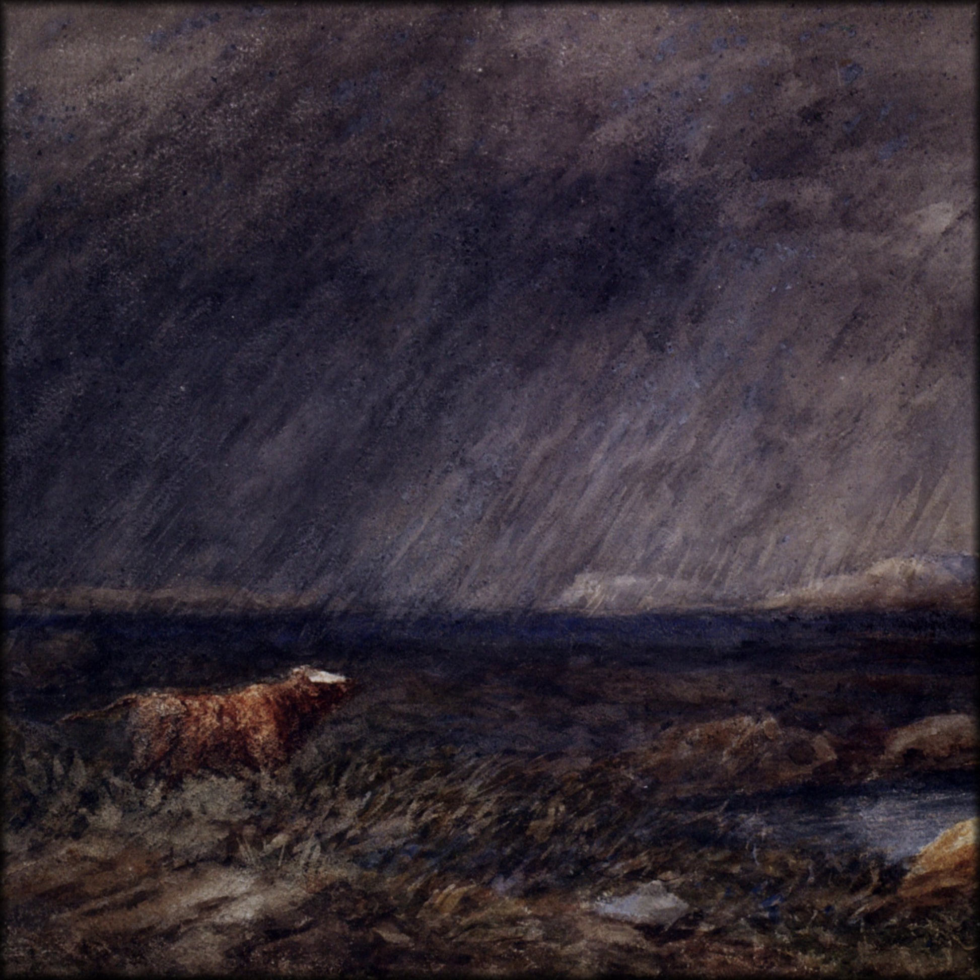 Digital Download - 1 image
