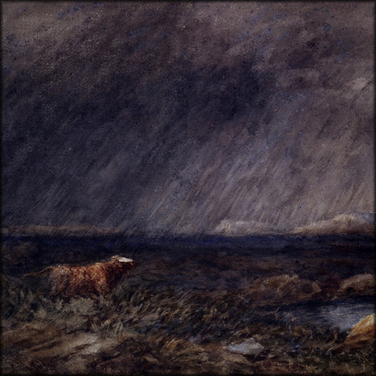 Digital Download - 1 image