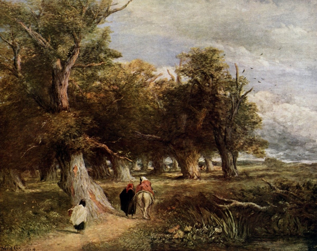 Dimensions 5510 x 4370 pixels