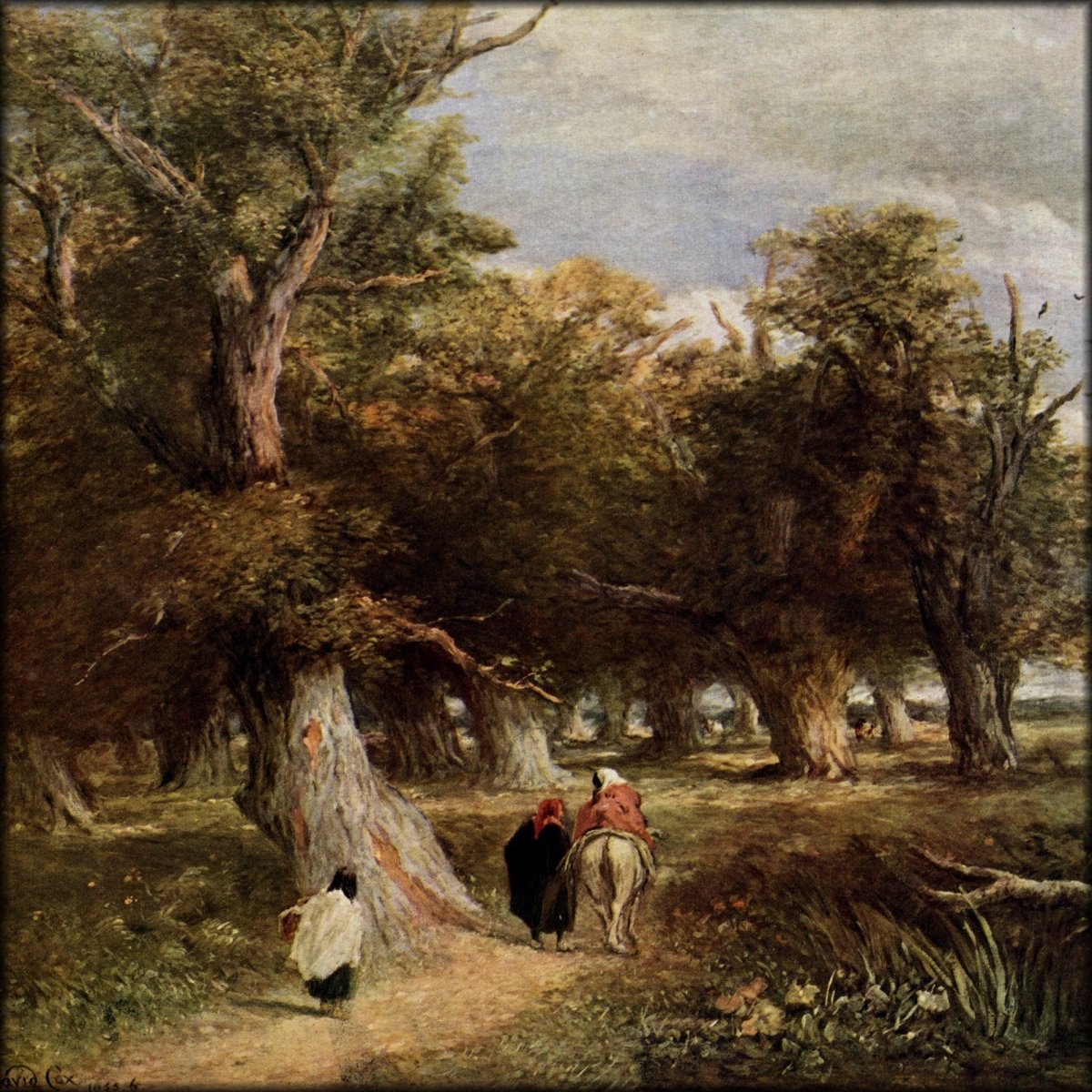 Digital Download - 1 image