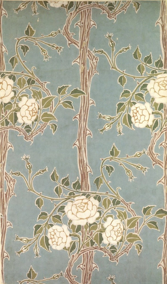 Dimensions 3955 x 6734 pixels