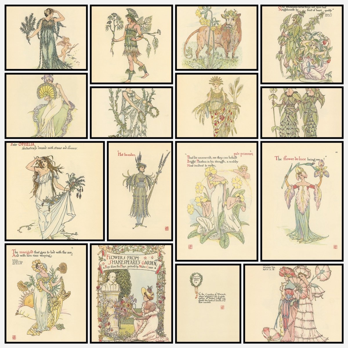 A snapshot of some of the images