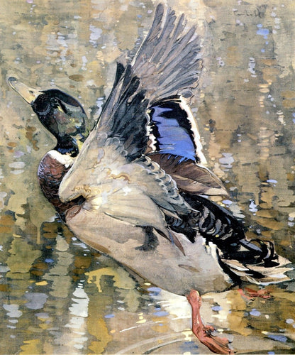 Joseph Crawhall Public Domain Images to Download | Dimensions 4616 x 5544 pixels