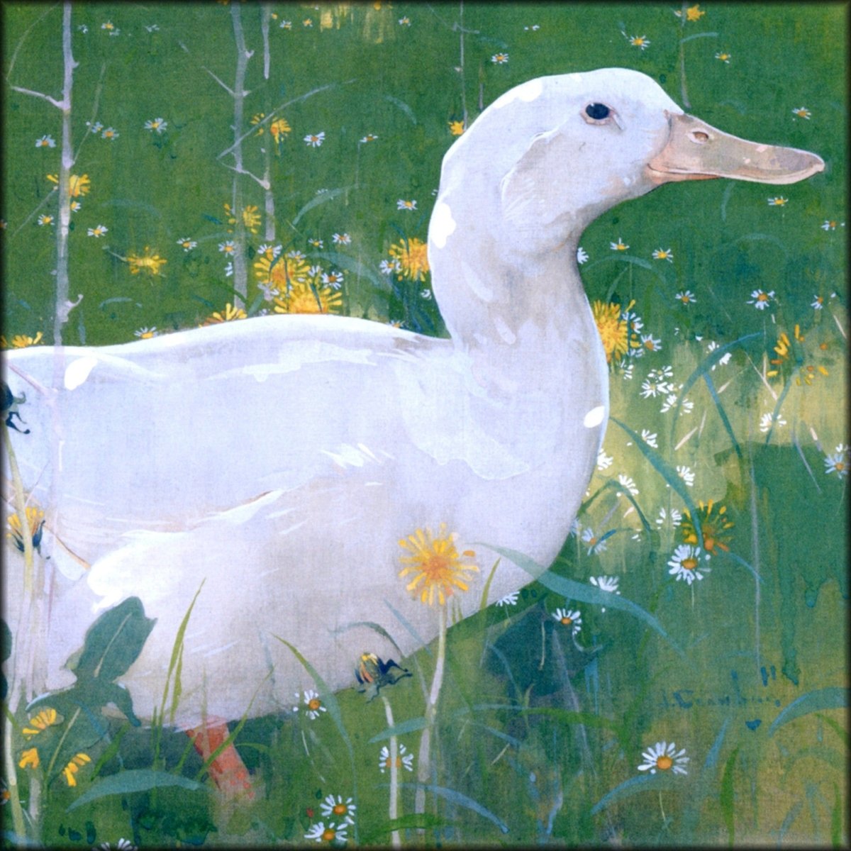 Digital Download - 1 image