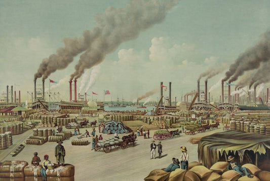 Dimensions 6000 x 4020 pixels