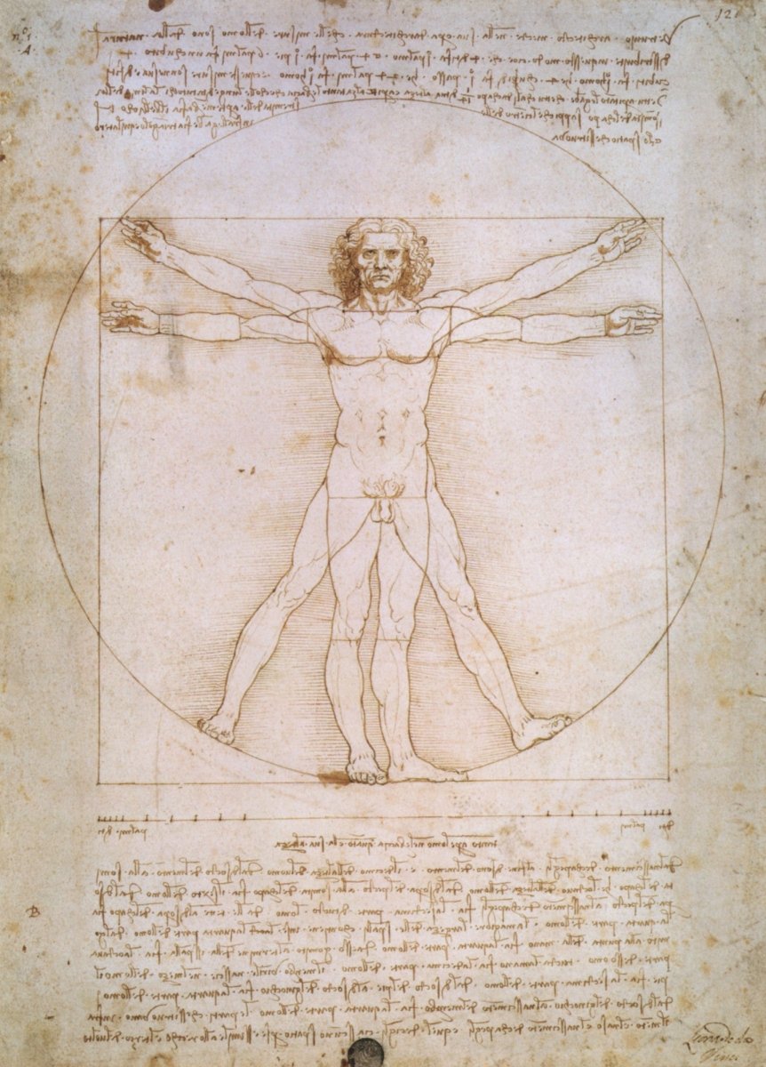 Dimensions 4290 x 5970 pixels