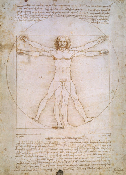 Dimensions 4290 x 5970 pixels