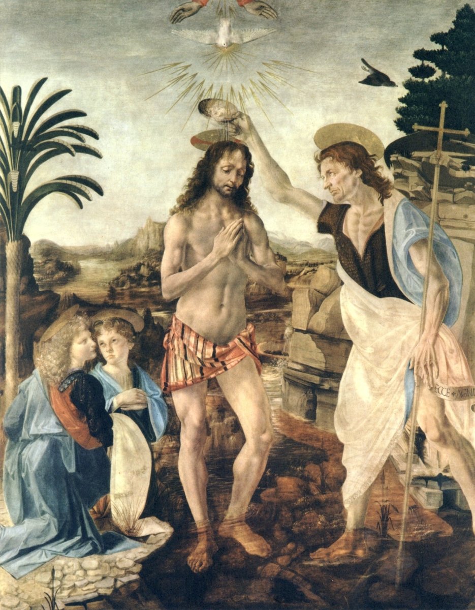 Dimensions 6139 x 7875 pixels