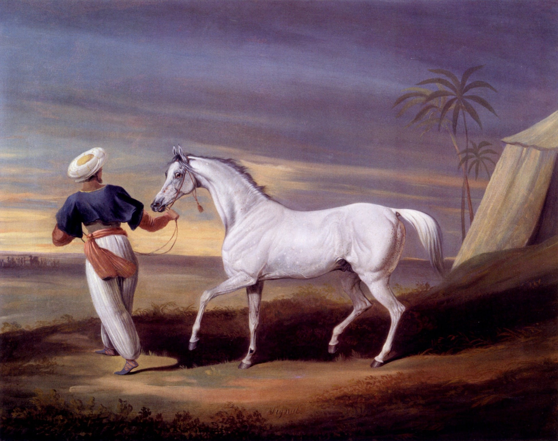 Dimensions 4945 x 3915 pixels