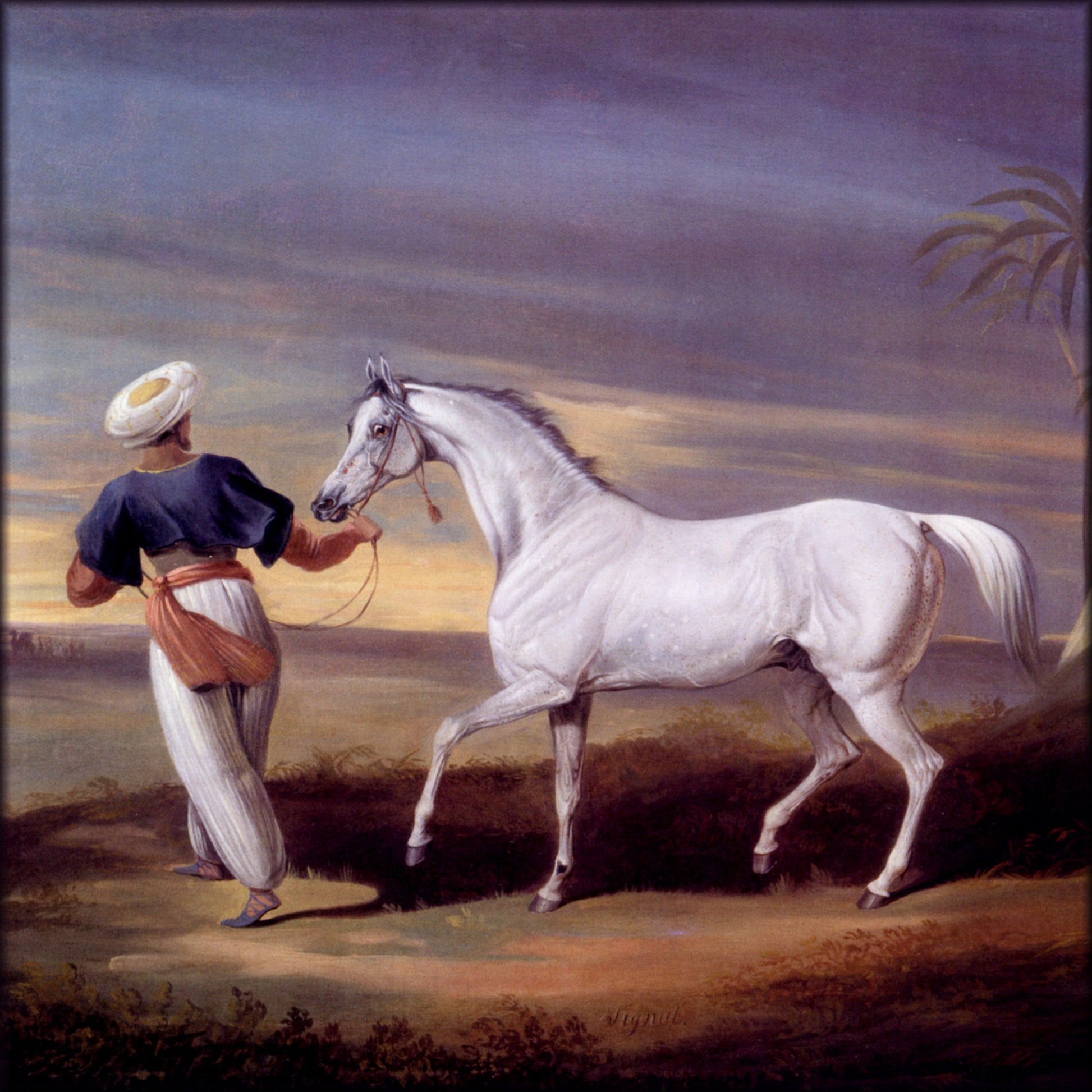 Digital Download - 1 image