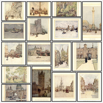 A snapshot of the images