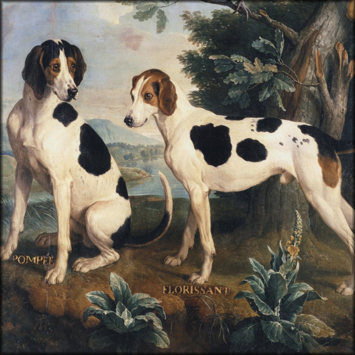 Digital Download - 1 image