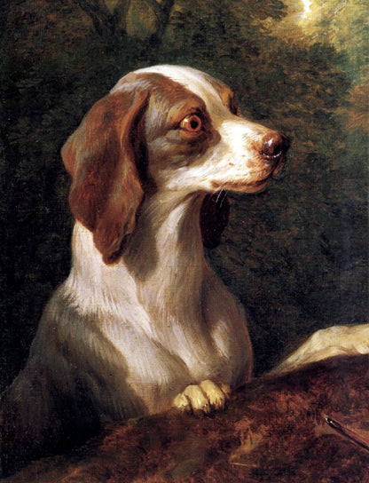 Dimensions 5264 x 6880 pixels