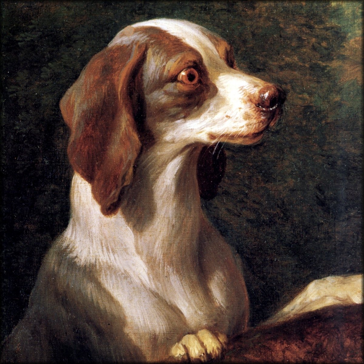 Digital Download - 1 image