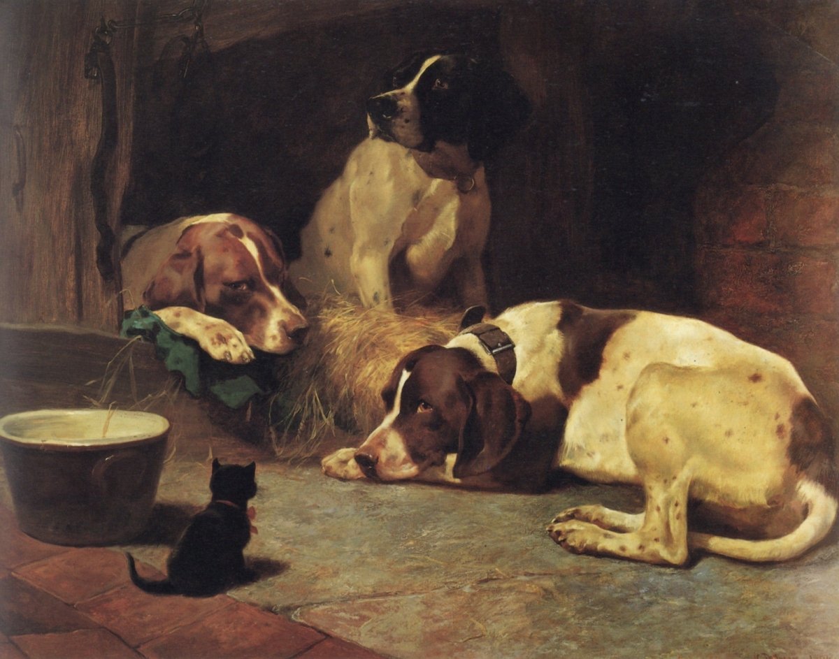 Dimensions 4888 x 3840 pixels